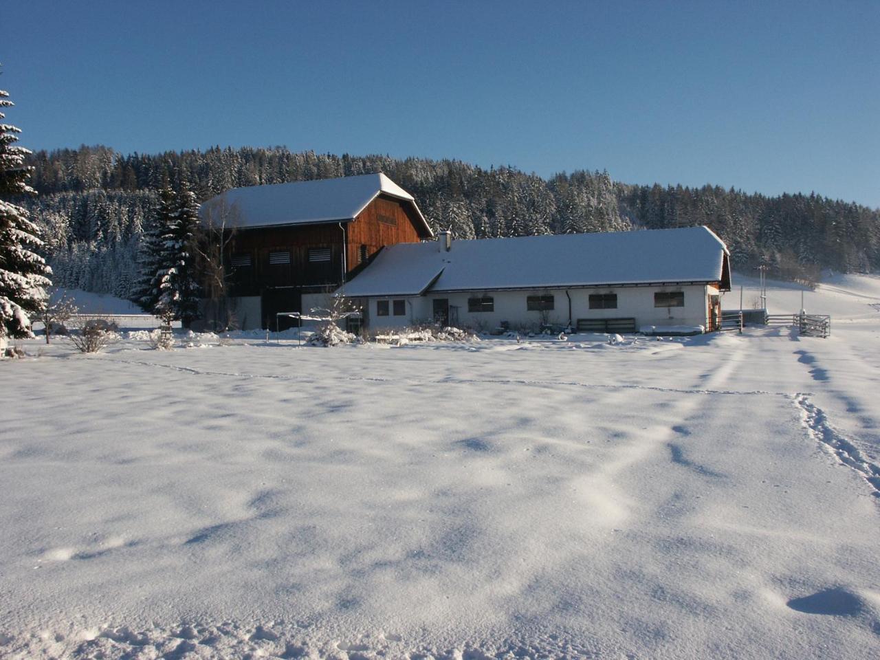 Villa Bio Bauernhof Schoberhof à Sankt Andrä im Lungau Extérieur photo
